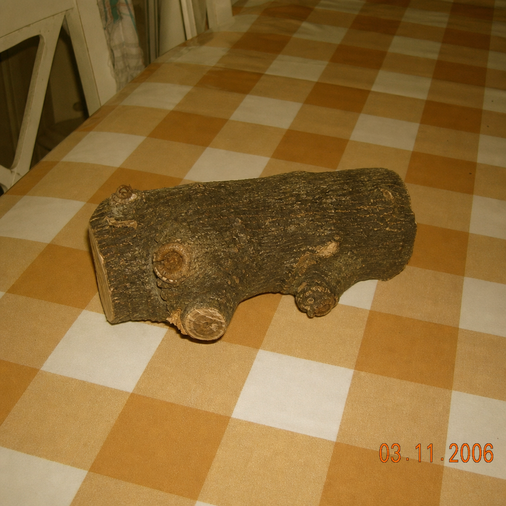 Roble de Borja
