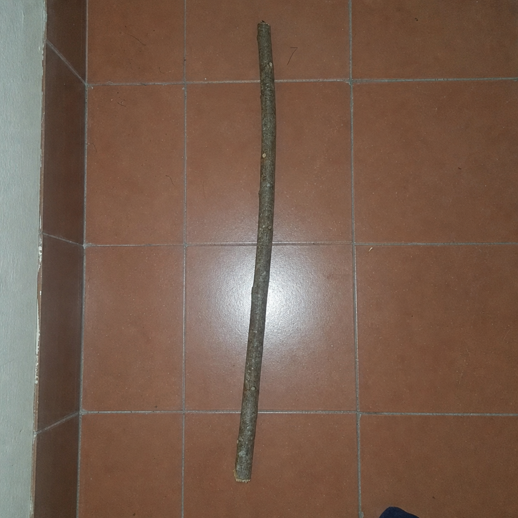 Palo Palo